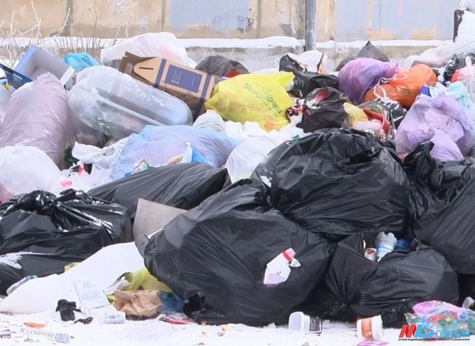 Волгоградцы пожаловались на некачественный вывоз мусора более 4 тыс. раз с начала года